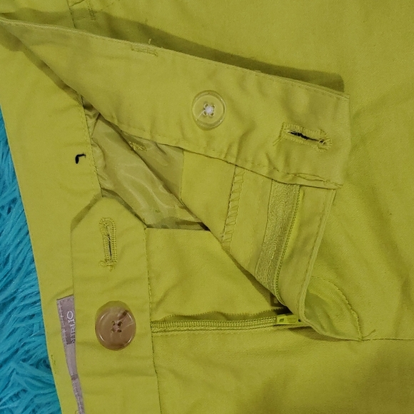 Banana Republic Lime Shorts - Picture 5 of 5